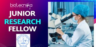 Junior Research Fellow – NISER Bhubaneswar Apply Now for 2025 Recruitment