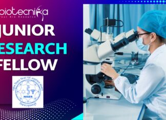 Junior Research Fellow (JRF) Opening at NISER Bhubaneswar | ICMR-Funded Project – Apply Today! Junior Research Fellow – NISER Bhubaneswar Apply Now for 2025 Recruitment