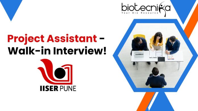 Project Assistant - Walk-in Interview!