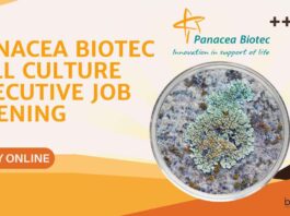 Panacea Biotec Cell Culture Executive Job