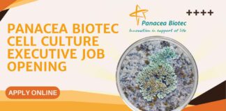 Panacea Biotec Cell Culture Executive Job