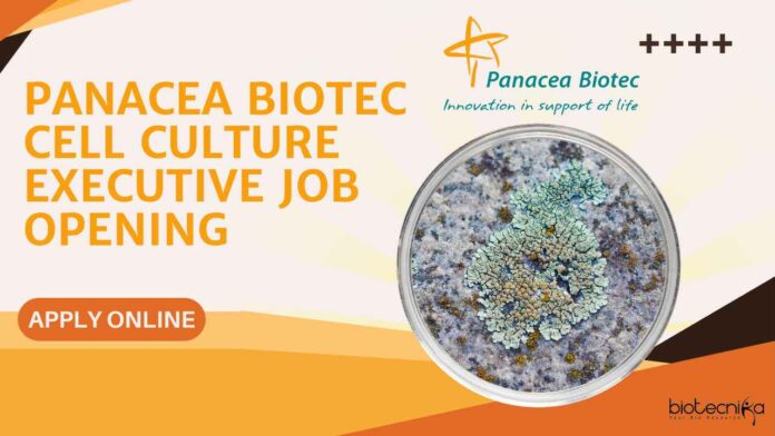 Panacea Biotec Cell Culture Executive Job