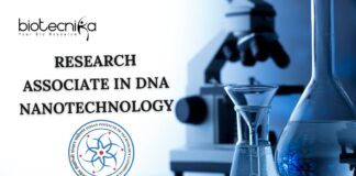 Research Associate in DNA Nanotechnology. Apply at IIT Gandhinagar