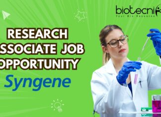 Research Associate Job opportunity