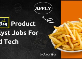 McCain Product Analyst Jobs For Food Tech – Apply Online McCain Product Analyst Jobs