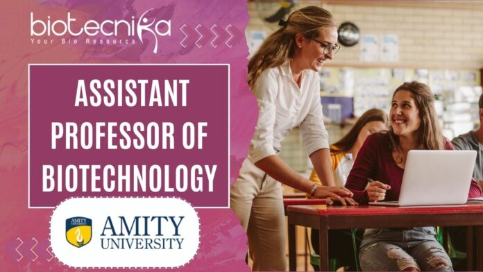  Assistant Professor of Biotechnology