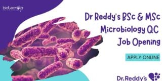 Dr Reddy's QC Microbiology Jobs