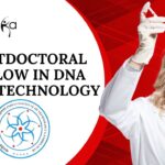 Postdoctoral Fellow in DNA Nanotechnology – Apply at IITGN