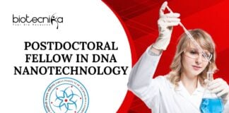 Postdoctoral Fellow in DNA Nanotechnology – Apply at IITGN