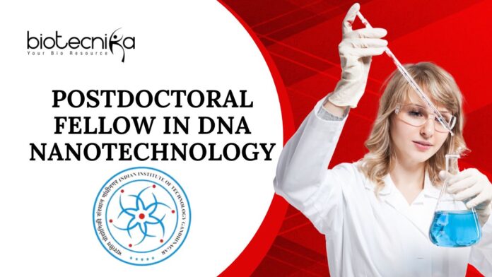 Postdoctoral Fellow in DNA Nanotechnology – Apply at IITGN
