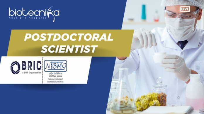Postdoctoral Scientist Job in Genomics at NIBMG Careers. PhD Apply!