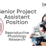 Senior Project Assistant Position