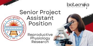Senior Project Assistant Position