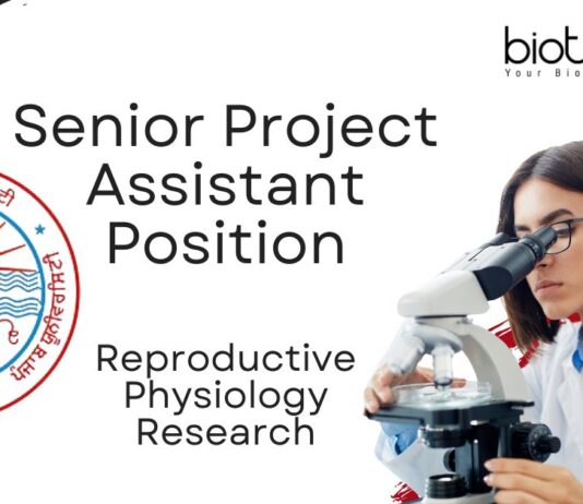 Senior Project Assistant Position