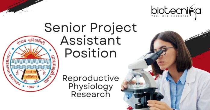 Senior Project Assistant Position