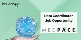 Data Coordinator Job Opportunity