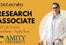 Research Associate – Amity University Noida Apply Now!