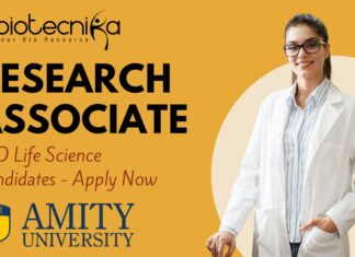 Research Associate – Amity University Noida Apply Now!
