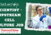 Thermo Fisher Upstream Cell Culture Scientist Job - Apply Now!
