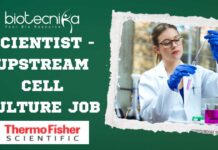 Thermo Fisher Upstream Cell Culture Scientist Job - Apply Now!