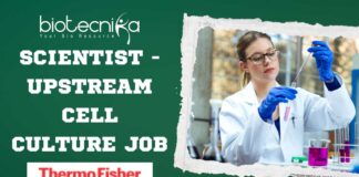 Thermo Fisher Upstream Cell Culture Scientist Job - Apply Now!