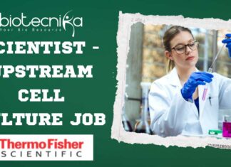 Thermo Fisher Upstream Cell Culture Scientist Job - Apply Now!