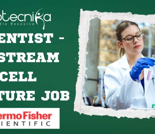 Thermo Fisher Upstream Cell Culture Scientist Job - Apply Now!