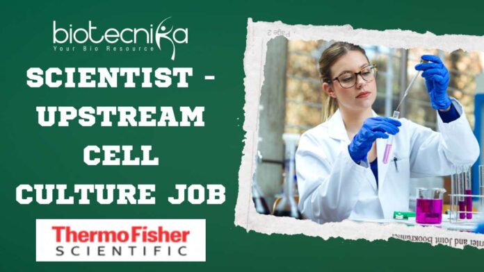 Thermo Fisher Upstream Cell Culture Scientist Job - Apply Now!