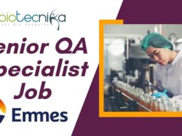 Senior QA Specialist Job – Emmes Group Apply Today!