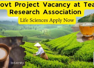 Project Jobs at Tea Research Association