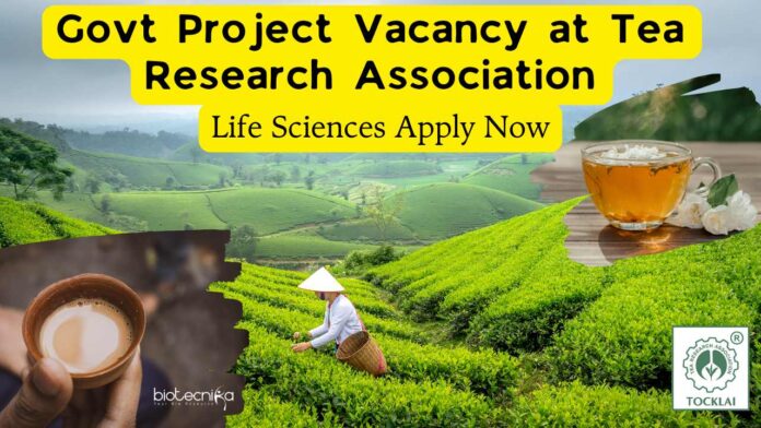 Project Jobs at Tea Research Association