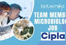 Team Member Microbiology Job at Cipla Apply Today!