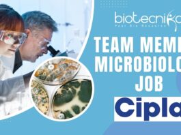Team Member Microbiology Job at Cipla Apply Today!