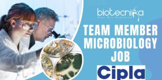 Team Member Microbiology Job at Cipla Apply Today!