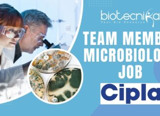 Join Cipla as a Team Member – Microbiology in Sikkim! Apply Now! Team Member Microbiology Job at Cipla Apply Today!