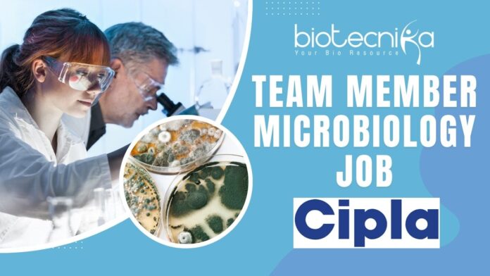 Team Member Microbiology Job at Cipla Apply Today!
