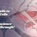 Skin Cells to Brain Cells