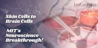 Skin Cells to Brain Cells