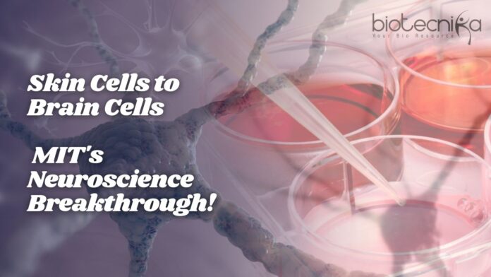 Skin Cells to Brain Cells