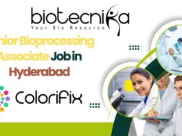 Junior Bioprocessing Associate Job