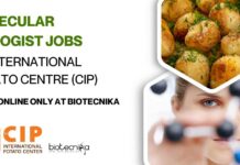 Molecular Biologist Jobs at International Potato Centre (CIP) – Apply Online Only at Biotecnika Molecular Biologist Jobs at International Potato Centre