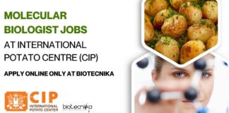 Molecular Biologist Jobs at International Potato Centre
