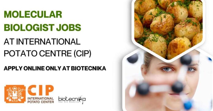 Molecular Biologist Jobs at International Potato Centre