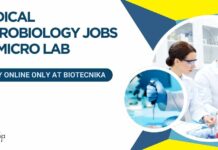 Medical Microbiology Jobs at Micro Lab – Apply Online Only at Biotecnika Medical Microbiology Jobs at Micro Lab