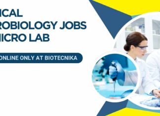 Medical Microbiology Jobs at Micro Lab – Apply Online Only at Biotecnika Medical Microbiology Jobs at Micro Lab