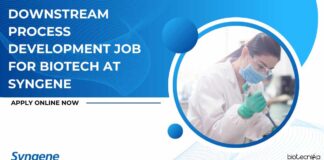 Syngene Biotech Downstream Process Development Jobs