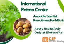 International Potato Center Jobs
