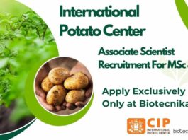 International Potato Center Jobs
