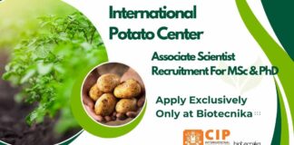 International Potato Center Jobs