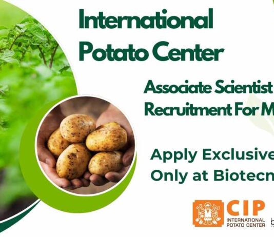 International Potato Center Jobs